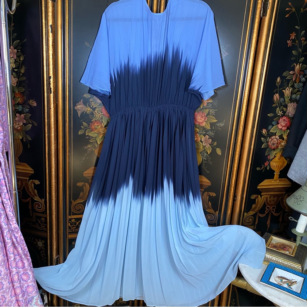 Banana Republic Chiffon Pleated Maxi Dress - Picture 2 of 9